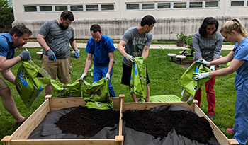 Residents planting a wellness garden